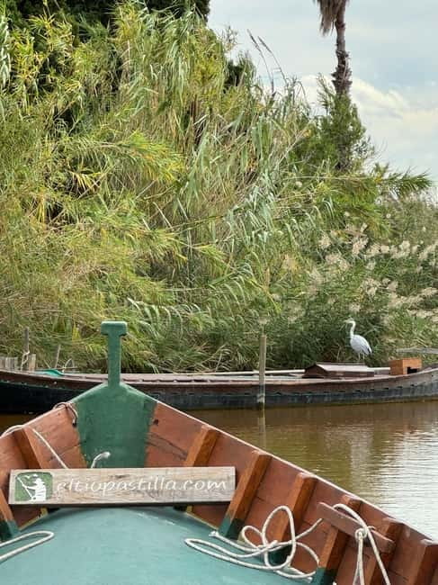 Albufera of Valencia: Guided boat ride around the Albufera - Why the Albufera boat loop feels special with electric motors