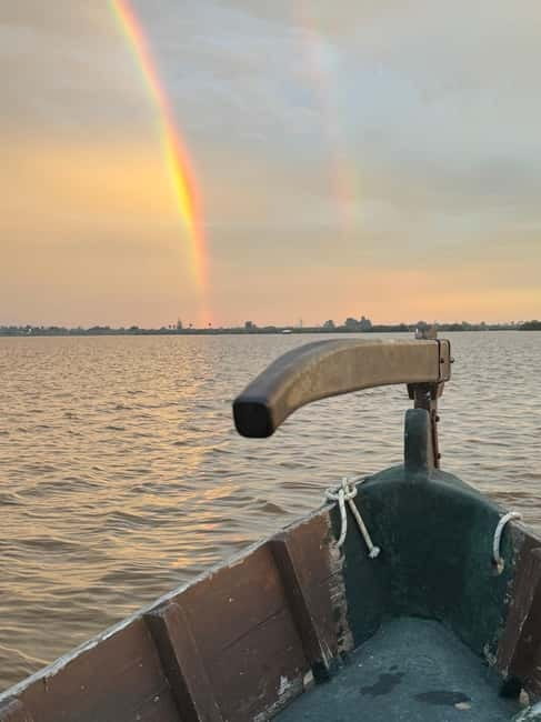Albufera of Valencia: Guided boat ride around the Albufera - What you’ll love most during the 45-minute electric cruise