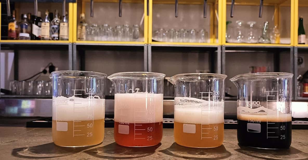 Craft Beer Tasting and tapas in Valencia - Beer lineup: sours, IPAs, and stouts (and how to notice differences)