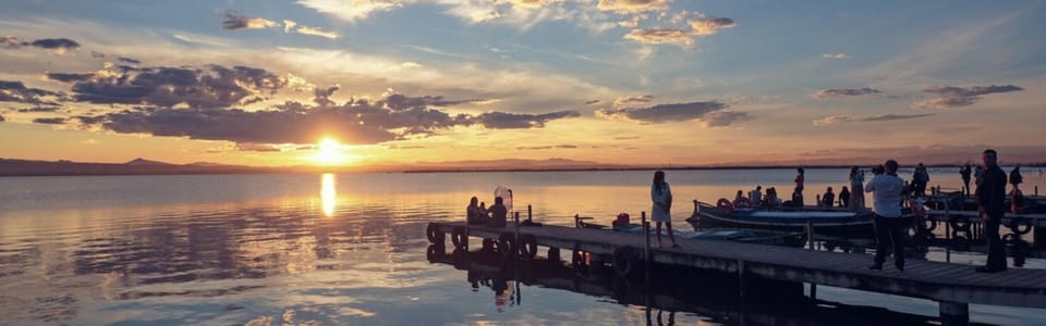 Discover the Devesa and the Albufera: Guided tour - Stop 1: The Dunes Trail and the science of sand