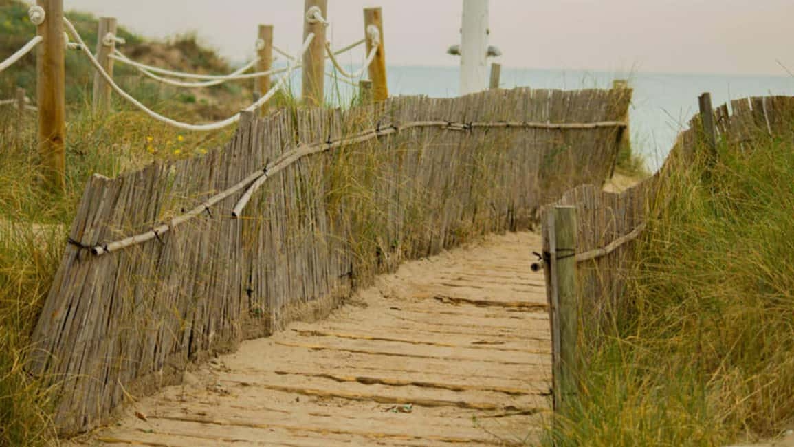 From Valencia: Albufera Day Trip with Boat Tour and Transfer - El Saler dunes and the natural park walk: views with context