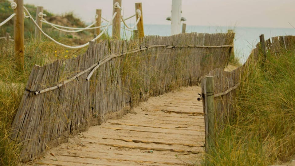 From Valencia: Albufera Day Trip with Boat Tour and Transfer - Comfort tips: jacket, insect repellent, and food rules