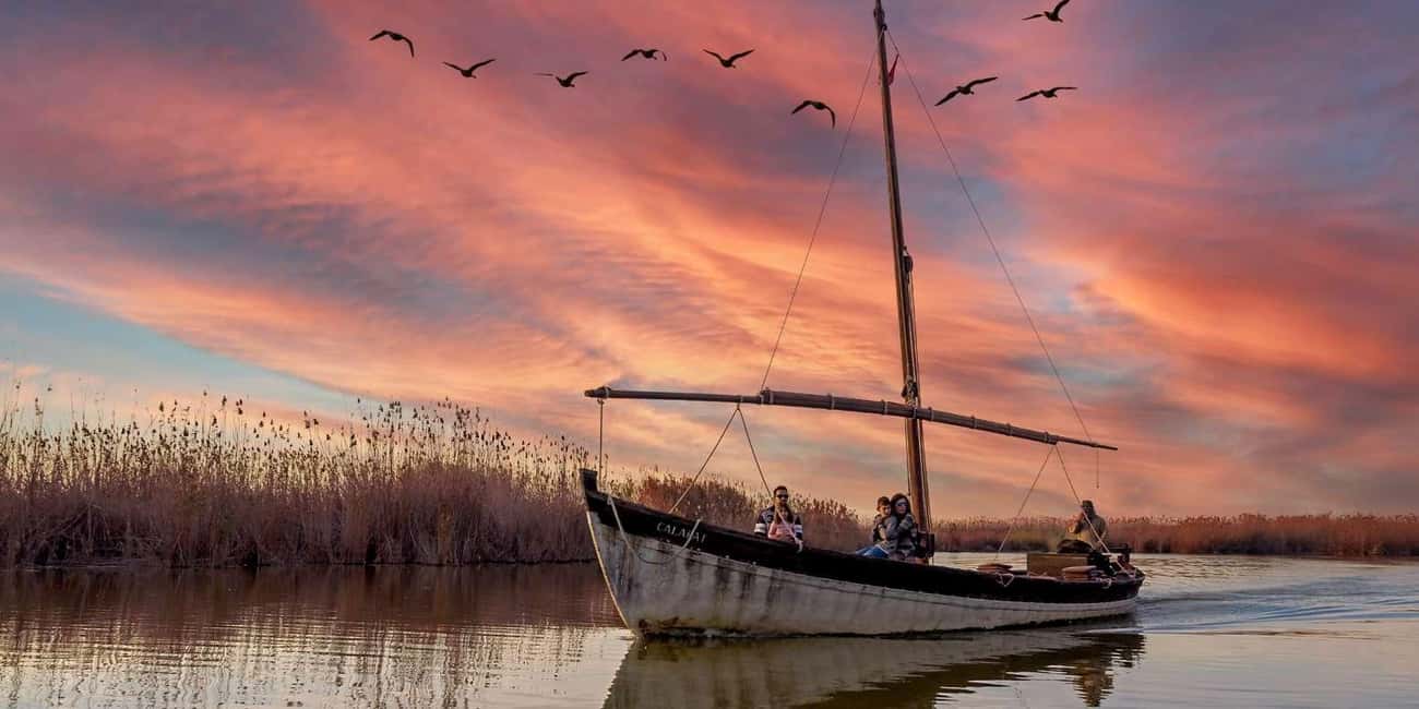 From Valencia: Albufera Natural Park with Sunset Boat Tour - Quick hits: why this tour is worth your time