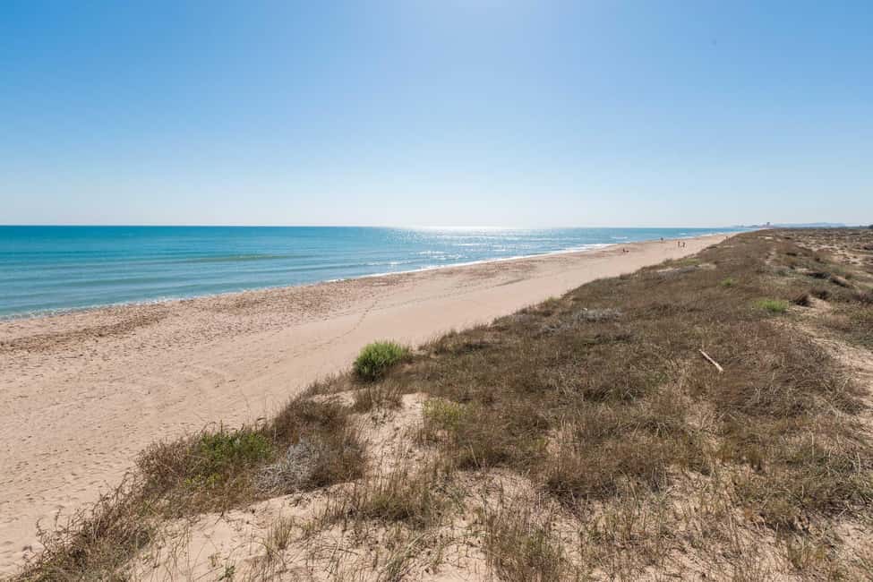 From Valencia: Albufera Natural Park with Sunset Boat Tour - Should you book this Albufera sunset tour?