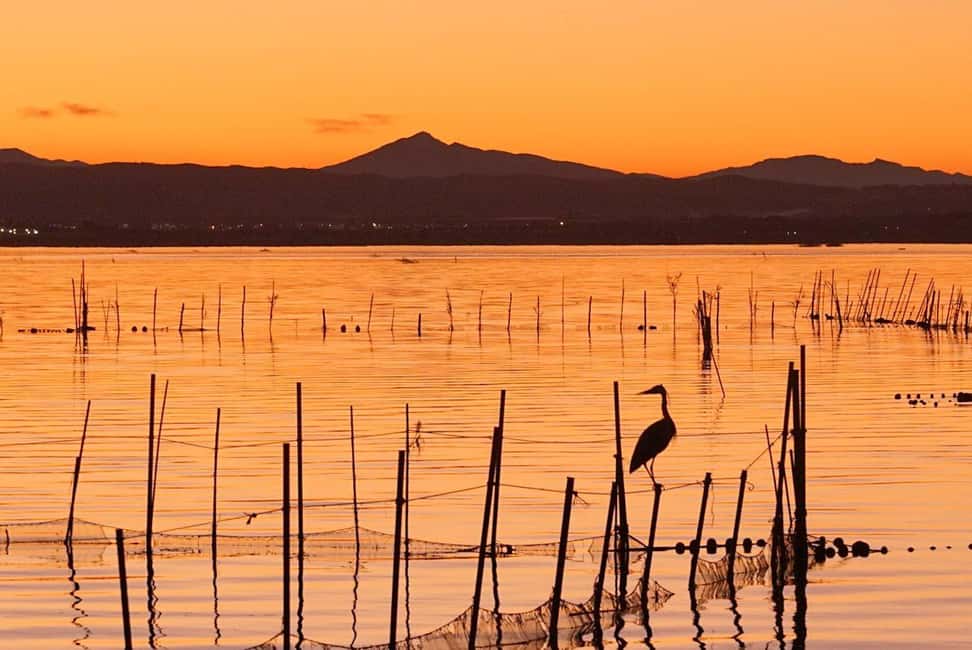 From Valencia: Albufera Natural Park with Sunset Boat Tour - What to bring so the day feels easy
