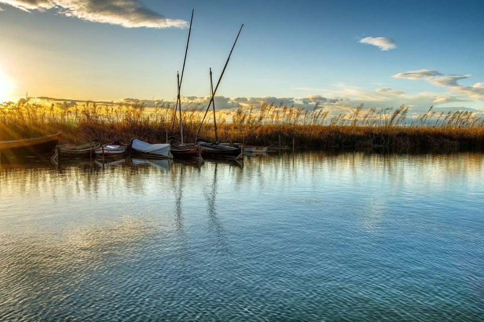 From Valencia: Albufera Natural Park with Sunset Boat Tour - Who this Albufera sunset tour suits best