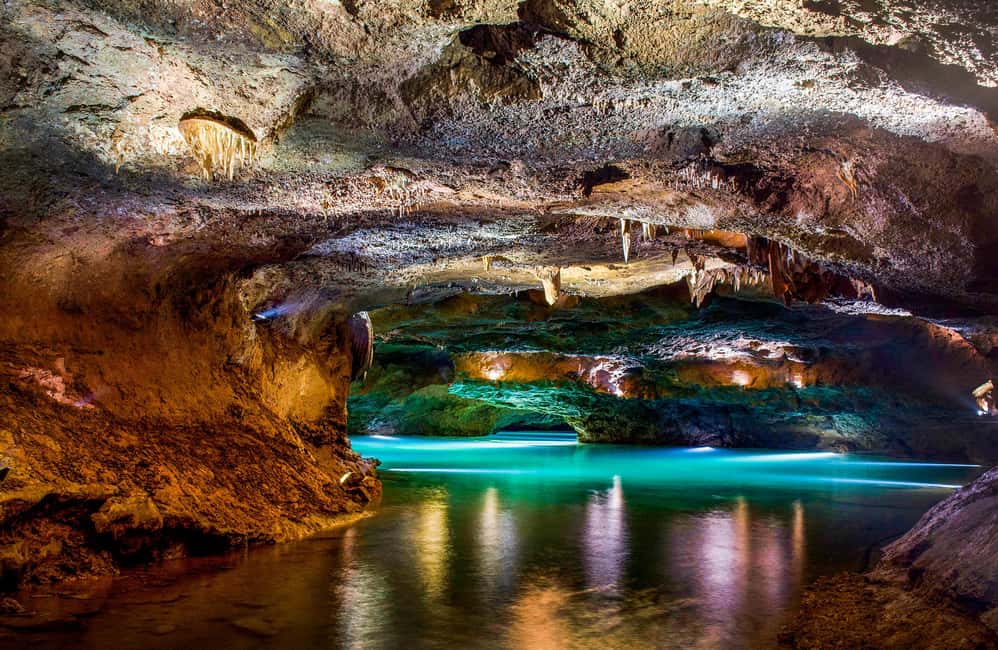 From Valencia: Caves of San José Guided Excursion and Ticket - Entering the cave system: stalactites, stalagmites, and UNESCO paintings