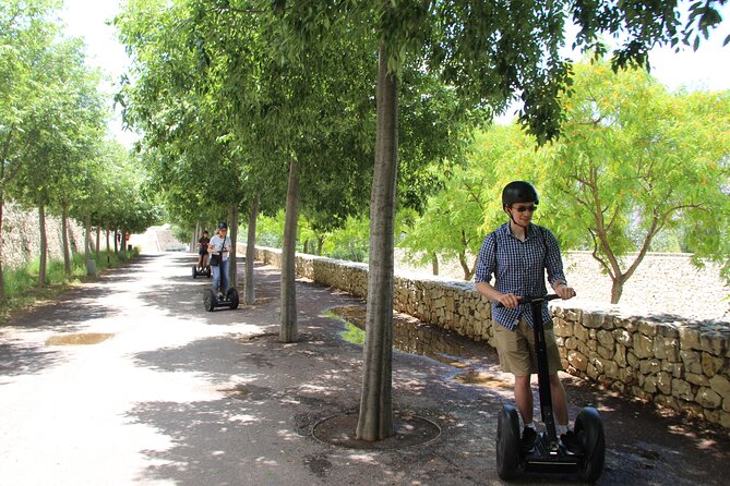 Fun Private Segway Tour in Valencia - Training Time: Why It Makes the Tour Feel Easy (Not Stressful)