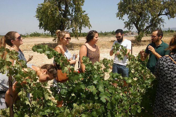 Private Wine Tour with Wine Tasting and Full Lunch (day trip) - Why This Private Utiel-Requena Day Trip Works