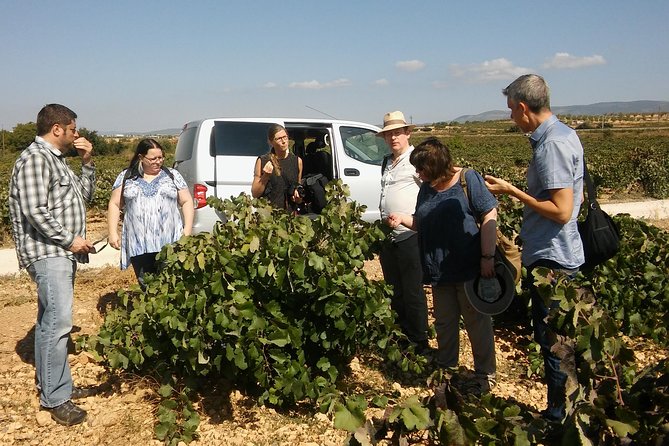 Private Wine Tour with Wine Tasting and Full Lunch (day trip) - Meeting Point, Pickup, Timing: Plan Your Day Without Stress