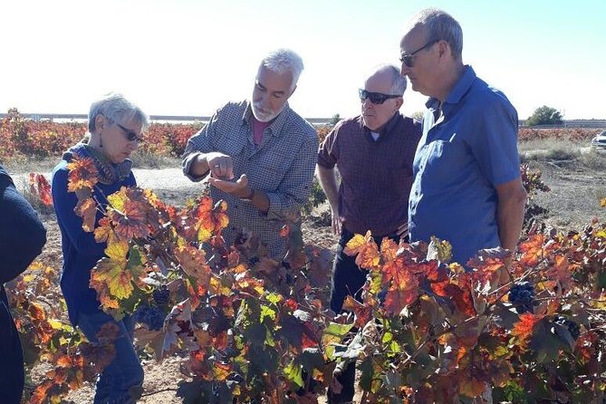 Private Wine Tour with Wine Tasting and Full Lunch (day trip) - Lunch: Three Courses That Make the Wines Make Sense