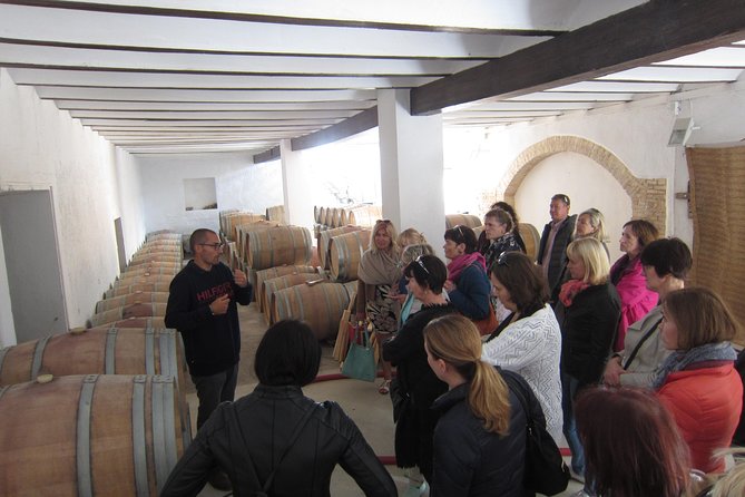 Private Wine Tour with Wine Tasting and Full Lunch (day trip) - The Private Group Advantage: No Crowd Herding