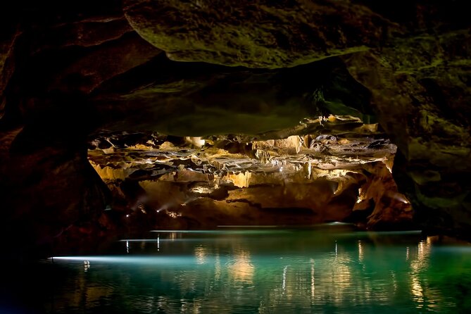 San Jose Caves Guided Tour from Valencia - The drive to the caves: what your guide teaches you