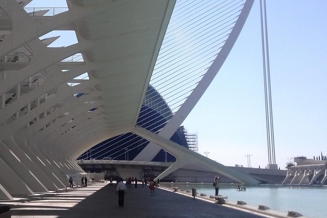 The City of Arts and Sciences in Valencia - Meet at the Tesla charger: timing and the private-group feel