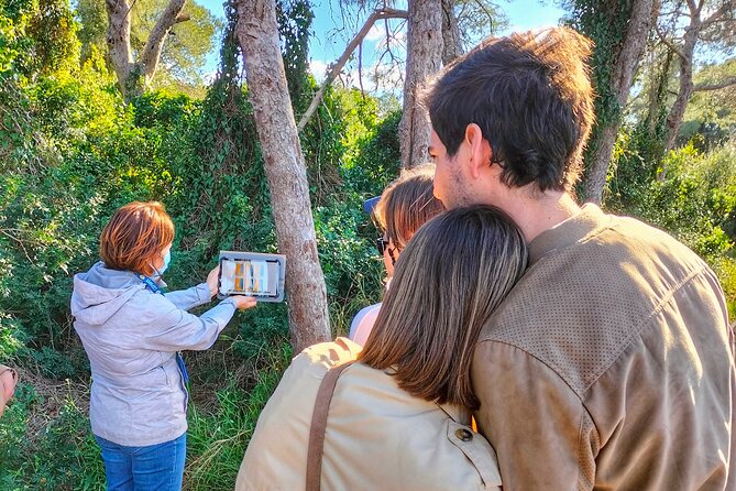 The Original Albufera Tour: Barraca, Boat Ride & Local Guide - First Impressions: How This Trip Works From Valencia