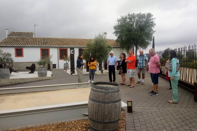 Two wineries tour with wine tasting - The guide factor: Elise and the benefit of asking questions early