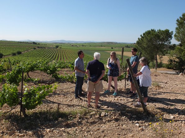 Two wineries tour with wine tasting - Price and value: what $146.30 buys in the real world