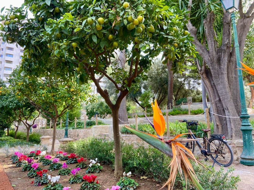 Valencia: 2-in-1 Biking and Walking Audio-Guided Route - Who this fits best, and where it may not