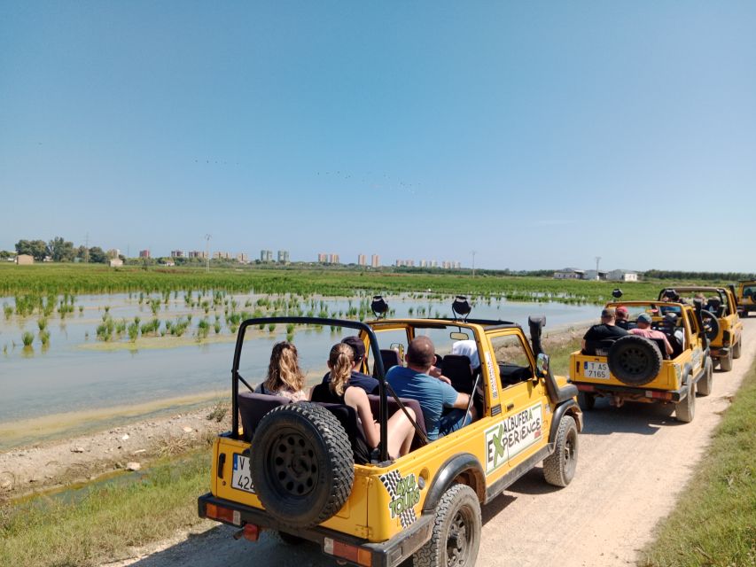 Valencia: Albufera Jeep and Boat Tour - What to look for in the Albufera wetlands from the Jeep