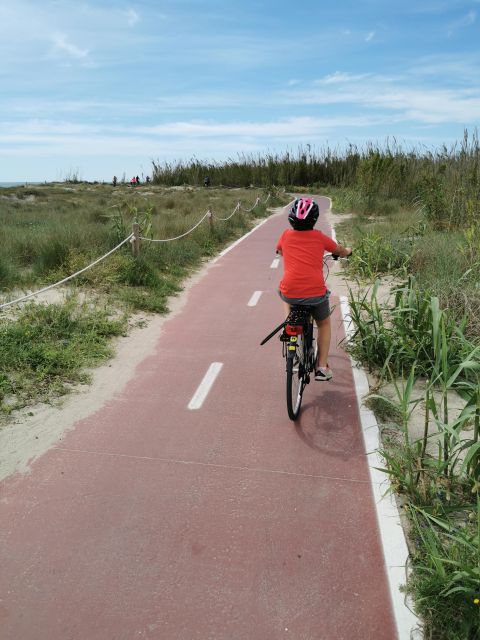 Valencia: Albufera Natural Park Bike and Boat Tour - The ride to El Saler: Pinedo beach, pine air, and that steady 12 km push