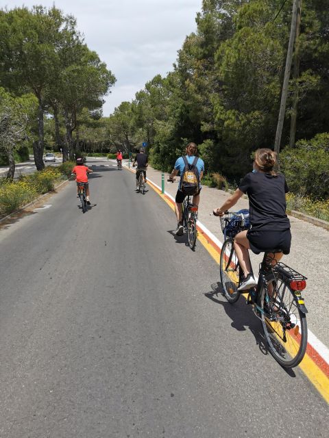 Valencia: Albufera Natural Park Bike and Boat Tour - The Albuferenc at 13:15: electric canals, rice-country context, and bilingual guides