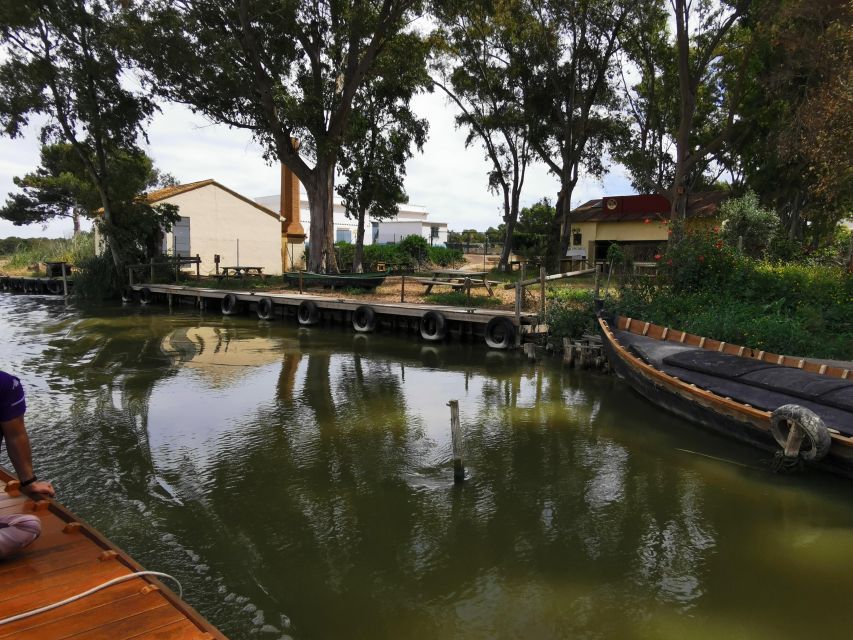 Valencia: Albufera Natural Park Bike and Boat Tour - The return ride to Valencia: when city skylines start to reappear