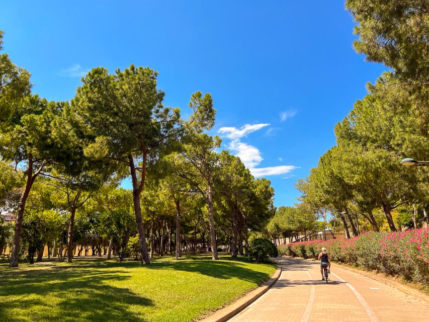 Valencia Bike Tours: City Highlights - What You Get From the Guide: The Difference Between Seeing and Understanding
