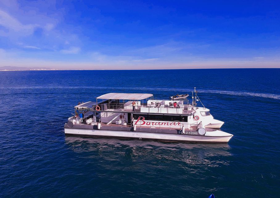 Valencia: Catamaran Cruise with Stop for Swimming - The anchored swim stop in the Mediterranean off Port Saplaya