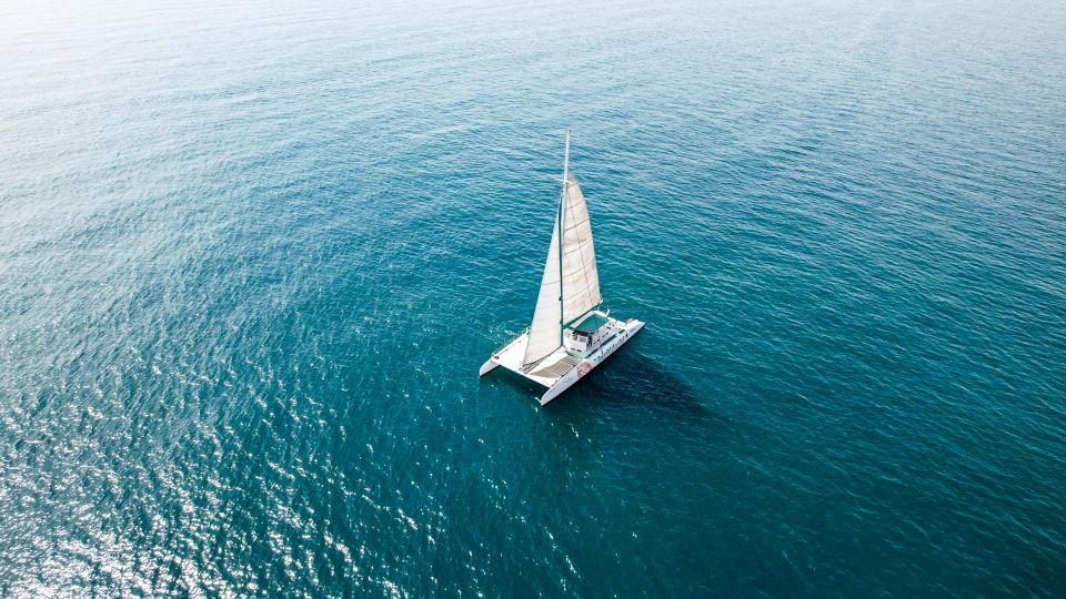 Valencia: Catamaran Cruise with Sunset Option - What the Crew Does (and What You Won’t Have to Do)