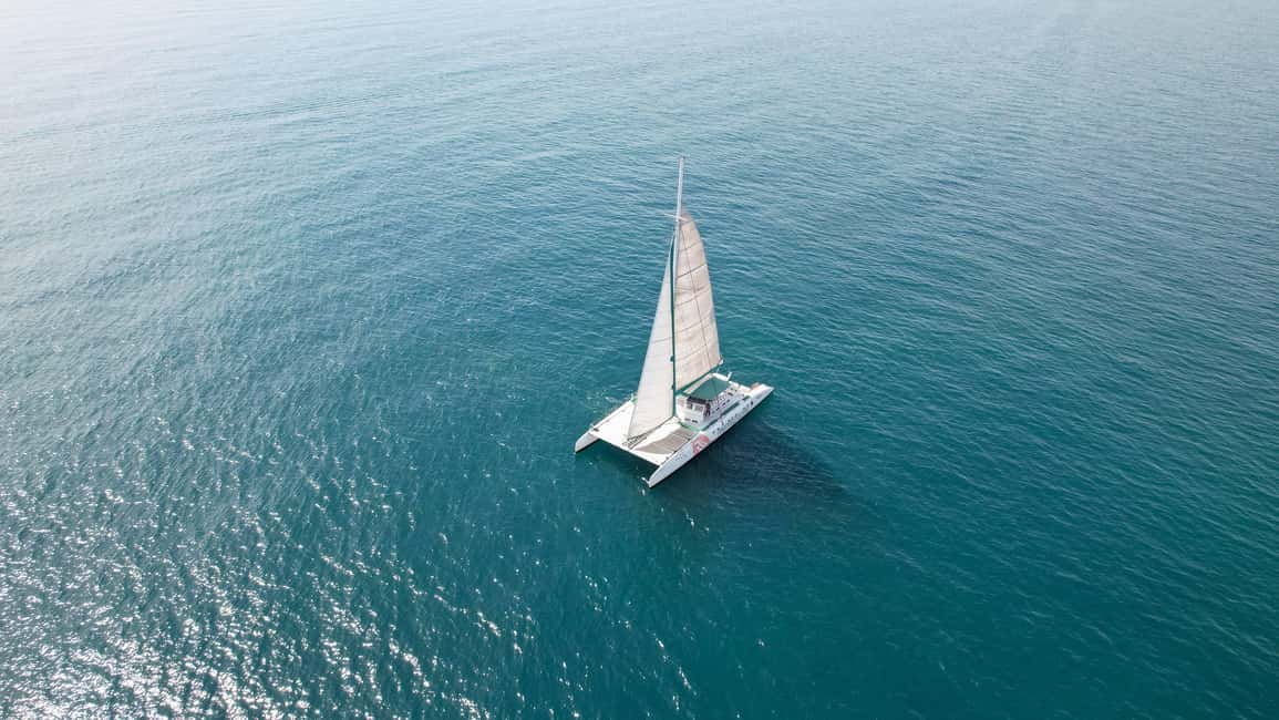 Valencia: Catamaran Cruise with Swimming & Optional DJ - Valencia Catamaran Cruise Vibe: Sun, Sea, and Views Without the Fuss