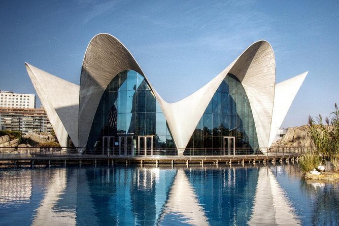 Valencia City Excursion - From Albir, Benidorm & Calpe - Price and value: what $47.06 buys you (and what it doesn’t)