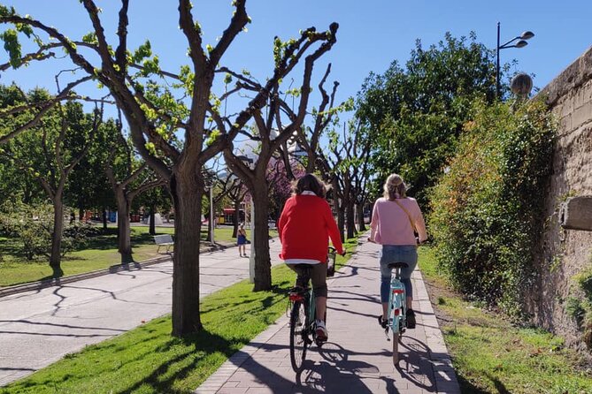 Valencia City Sights Bike Tour - Price and value: why $58.05 can make sense for Valencia
