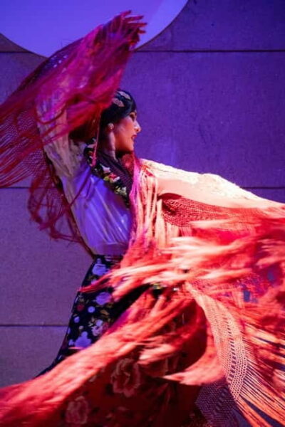 Valencia: La Linterna Flamenco Show - What Actually Happens During the 50 Minutes