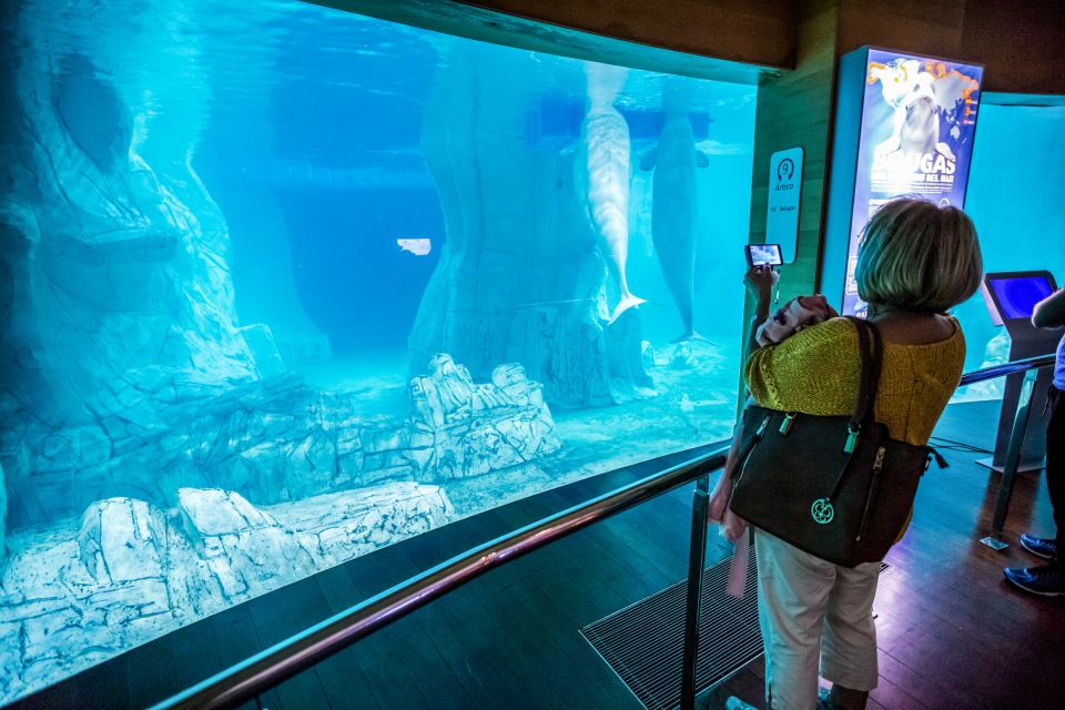 Valencia: Oceanogràfic Entry Ticket - Where This Experience Fits Best (And Who Might Want Something Else)