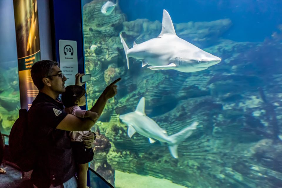 Valencia: Oceanogràfic Entry Ticket - Don’t Miss the Dolphin Program and 4D Experience