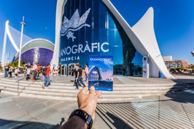 Valencia: Oceanogràfic Entry Ticket - The Underwater Tunnel and the Beluga Moment