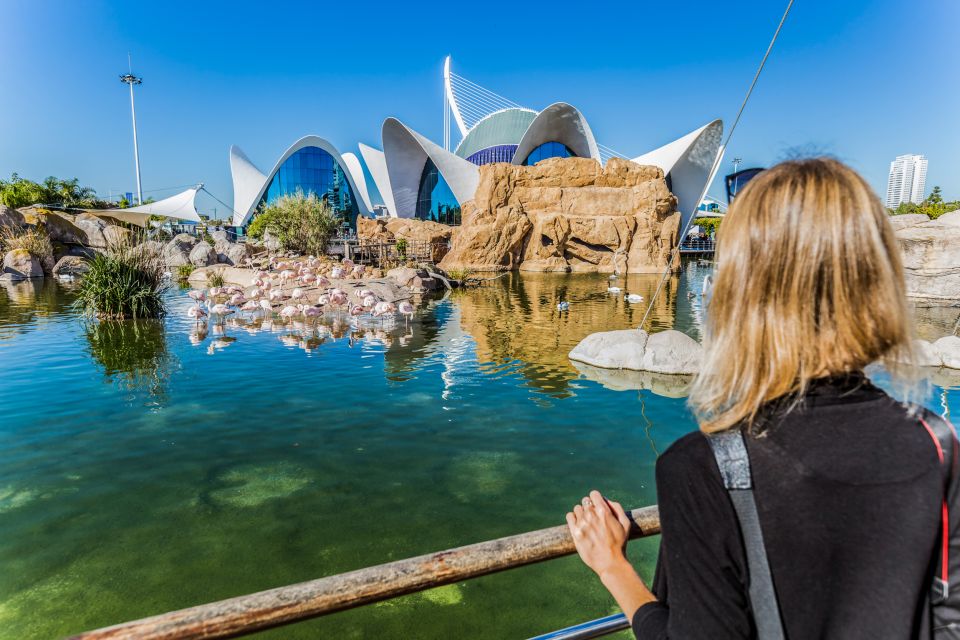 Valencia: Oceanogràfic Entry Ticket - What Exhibits You’ll Encounter (And What to Look For)
