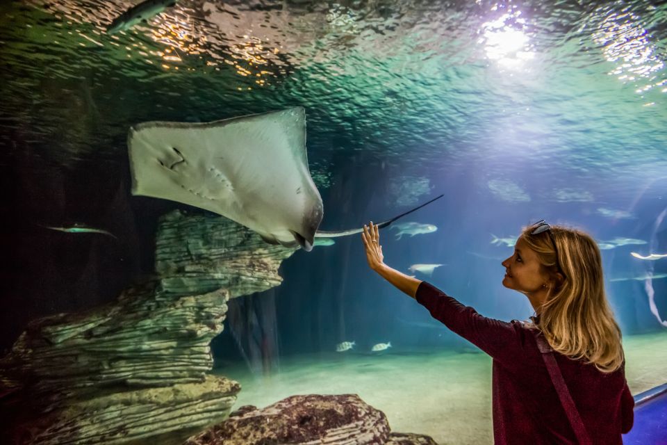 Valencia: Oceanogràfic Entry Ticket - Tickets, Time Slots, and Timing That Can Save Your Sanity