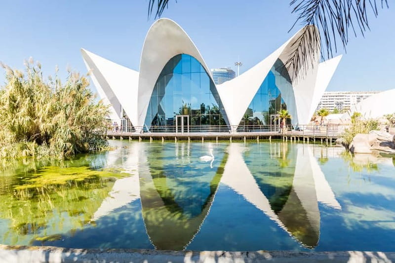 Valencia: Oceanogràfic, Hemisfèric & Science Museum Combo - Timing the day: a realistic itinerary that doesn’t burn you out