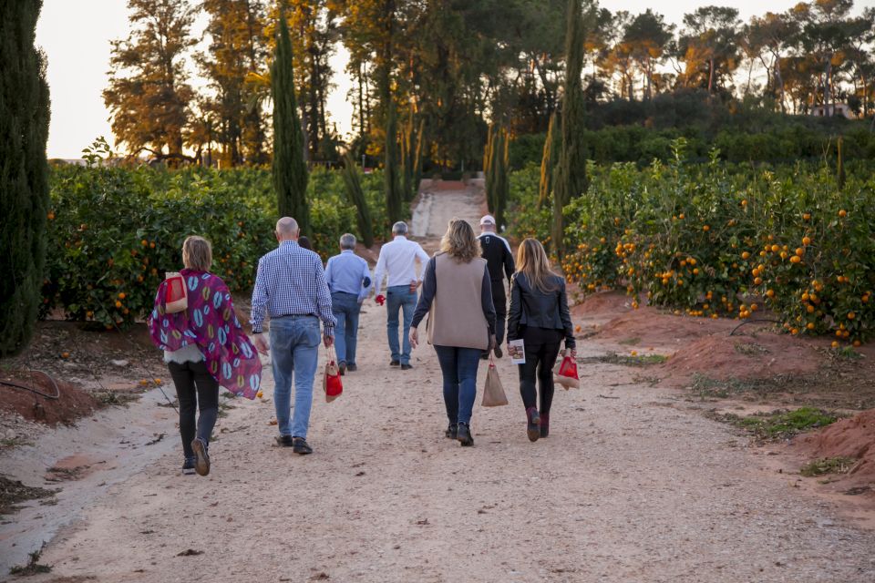 Valencia: Orange Farm and Orchard Trip with Tastings - How to reach Carcaixent from Valencia (and what to plan for)