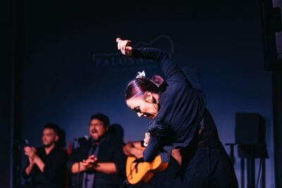 Valencia: Palosanto Flamenco Show Ticket - What the show feels like: dancers, guitar, and cante jondo
