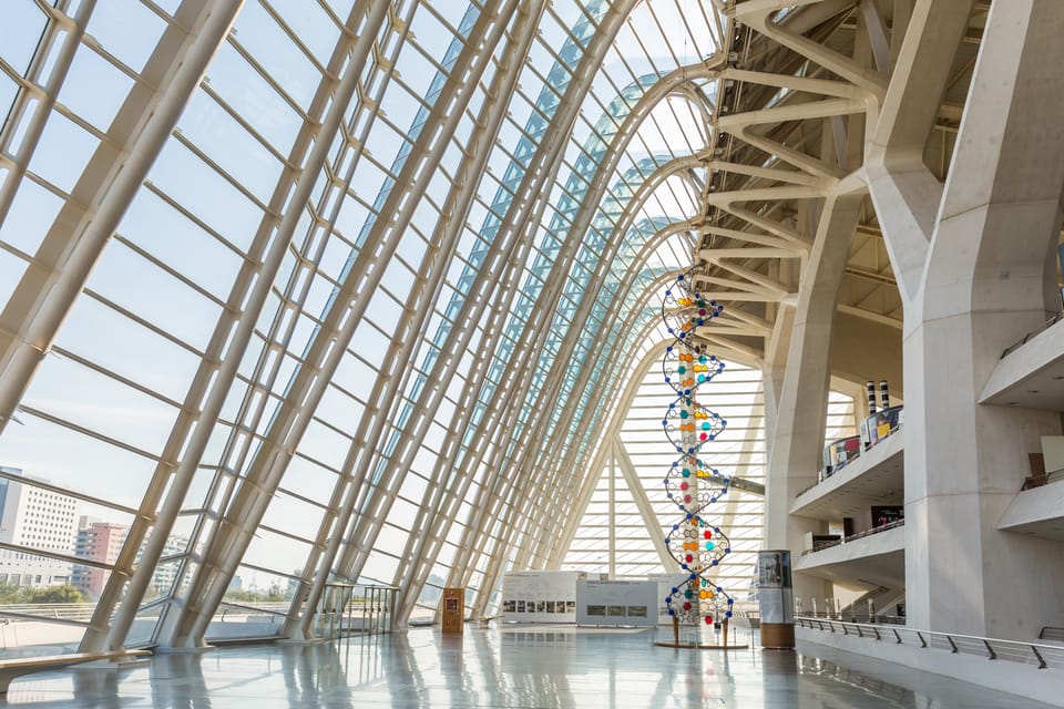 Valencia: Principe Felipe Science Museum Entry Ticket - Entering Valencia’s science playground: the museum vibe and design