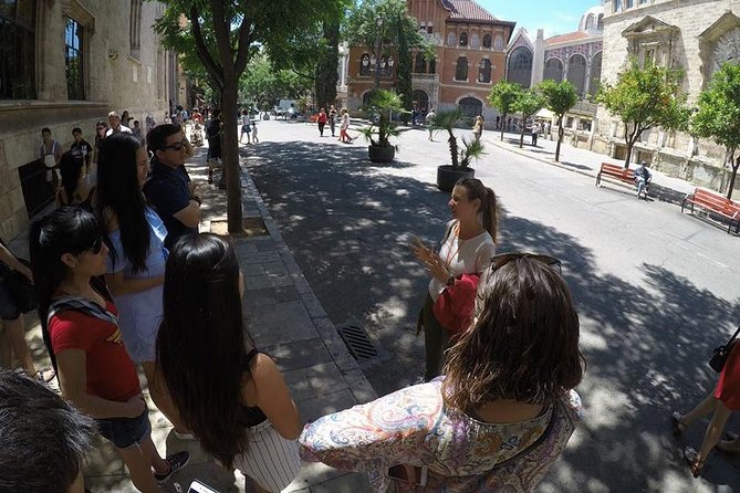 Valencia Private Walking Tour with Official Valencian Guide - Pace, comfort, and when to book for the weather