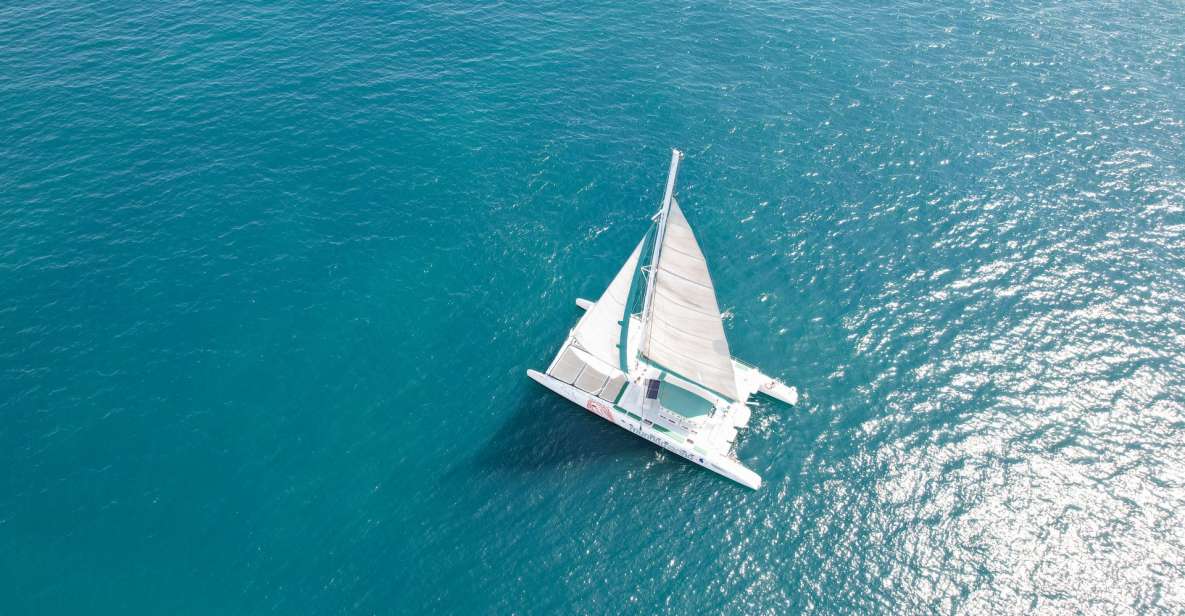 Valencia: Sailing Catamaran Cruise with Valencian Lunch - Meeting at Mundo Marino Catamaran and timing your day