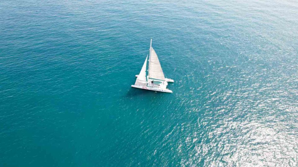 Valencia: Sailing Catamaran Cruise with Valencian Lunch - Lunch onboard: vegetable salad, paella, bread, and fruit