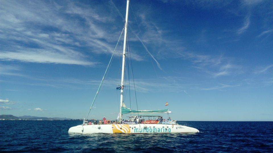 Valencia: Sailing Catamaran Cruise with Valencian Lunch - Who should book this Valencia catamaran cruise (and who shouldn’t)