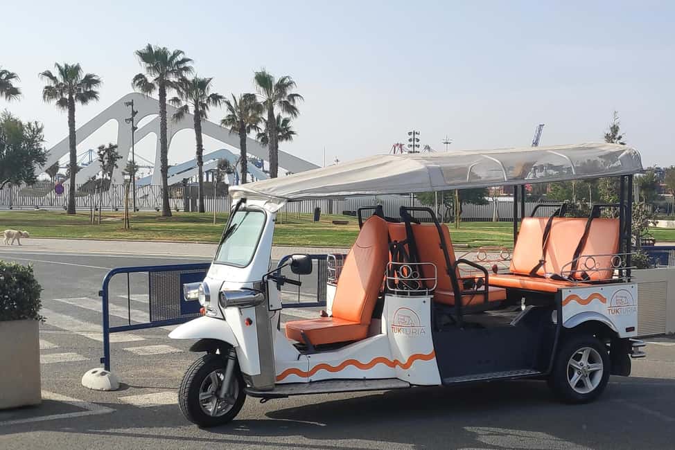 Valencia: Tuk Tuk City Tour - Comfort, weather, and what to bring for a smooth ride