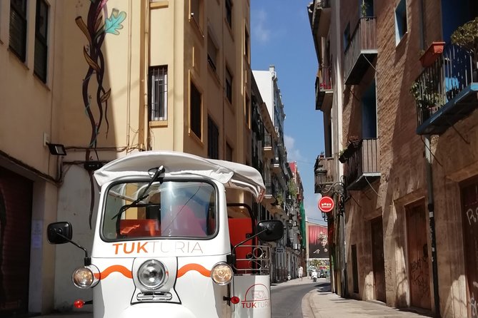 Valencia: Tuk Tuk Historical Tour - Why a 1-hour electric tuk tuk tour fits Valencia perfectly