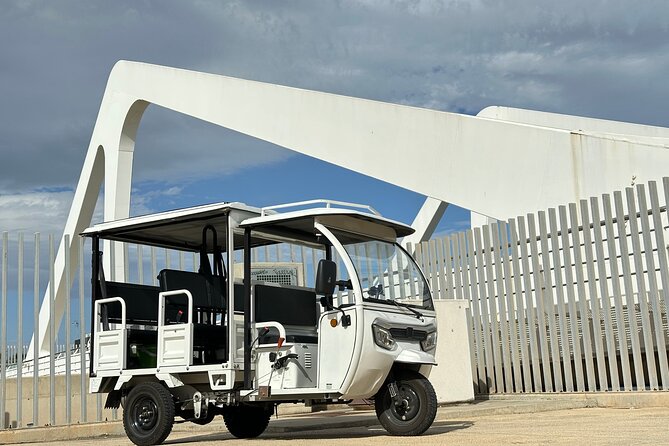 Valencia: Tuk tuk tour - Turia Gardens Flower Bridge and When to Ride It