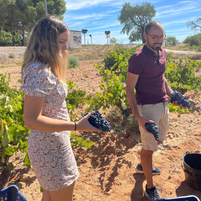 Valencia: Utiel-Requena Cave & Winery Day Trip with Tasting - The Utiel-Requena day that feels like real wine country